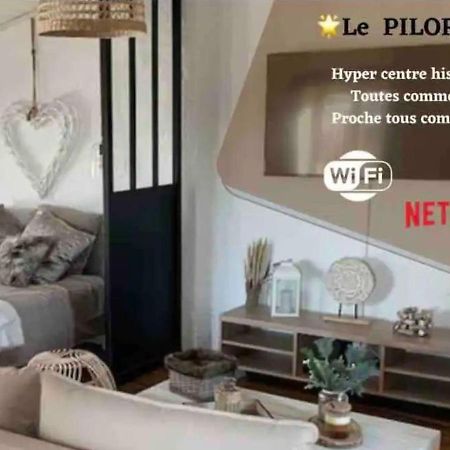 Le Pilori - Centre Historique, En Face Du Musee Du Pilori, A 2Mn A Pied De L'Hyper Centre Et Proche Toutes Commodites, Wifi-Netflix Niort Exterior foto